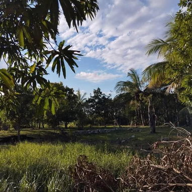 FOR SALE | 2-HECTARE FREEHOLD PROPERTY | HAVANA, CUBA - Img 125694199