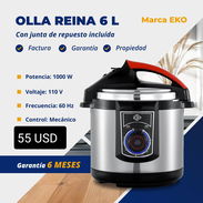 Olla reina - Img 56005888