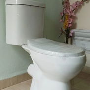 Taza de baño descarga a la pared - Img 52300878