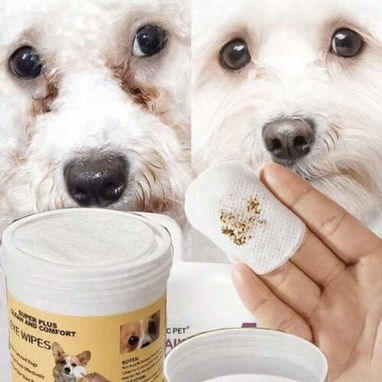 Cepillos de dientes para perros - Img 120651765