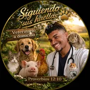 VETERINARIO A DOMICILIO ‼️ - Img 55305222
