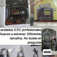 Candados Profesionales-Antizizayas-Alarma - Img 55342356