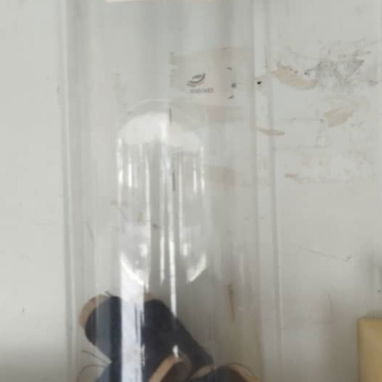 Detergente, esponja de fregar, haragán, recogedor, goma loca, cuchilla para rasurar, pilas, aguja e hilo - 10/10