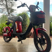 BICIMOTO AVA 2026 - Img 56519016