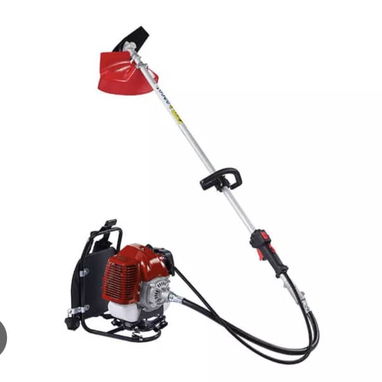 Desbrosadora de gasolina en 200 usd - 4/5