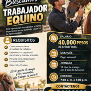 1er mes 40mil. Luego cobra semanal en base a 10mil o más - Img 58058135