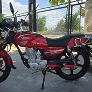 MOTO 🏍️ AVA LEOPARDO - Img 56349290