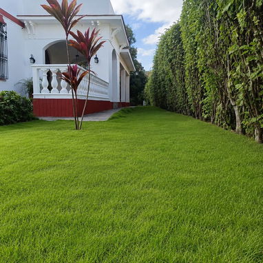 CASA INDEPENDIENTE EN VENTA EN LA HABANA | 6 HABITACIONES, 7 BAÑOS Y MÁS DE 1.100 m² - 3/8