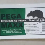 TRAMPAS DE RATÓN DE PEGA - Img 48522480