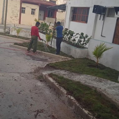 Servicio de jardinería 🧑🌾 - Img 119715828