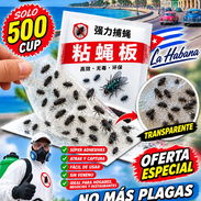 Exterminio de moscas y mosquitos en La Habana - Img 57149418