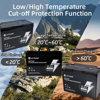 Bateria LVYUAN de iones de litio LiFePO4 de 12V 100Ah - 5/9