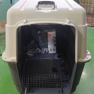 Huacales para perros grandes y muy grandes nuevos con todos sus accesorios - Img 55667897