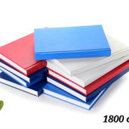 Agendas - Img 55774928