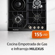 EMPOTRADA..COCINA DE GAS E INFRARROJO - Img 57130418