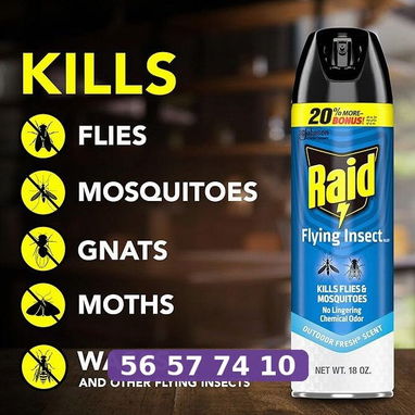 Raid para mosquitos 20 oz - 2/3
