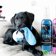 Colonia para perros - Img 54620358