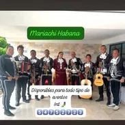 Mariachi habana - Img 55302686