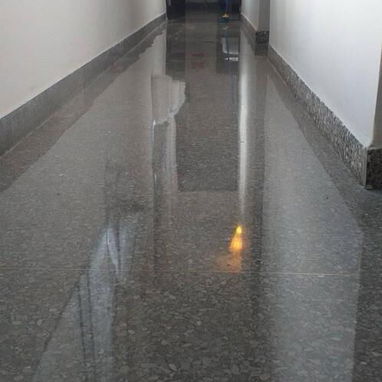 Pulidores de piso profesionales - Img 125900308
