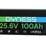 Batería LiFePO4 24V 100Ah (2560Wh) Dyness con BMS 100A y protección de baja temperatura - Ideal para sistema solar 🌐 - Img 56829410