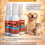 Spray de Clorhexidina - Img 54489065