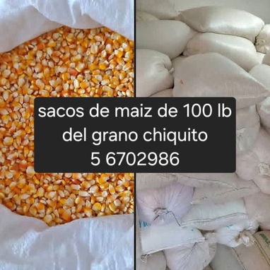 Vendo Pienso para cerdo y otros granos - 3/4