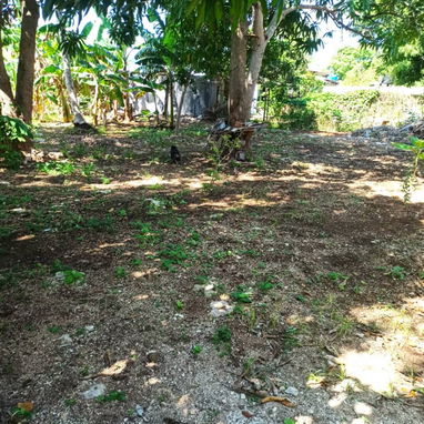 Casa independiente en venta - 5/5