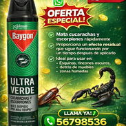 Spray Mata cucarachas - Img 51180201