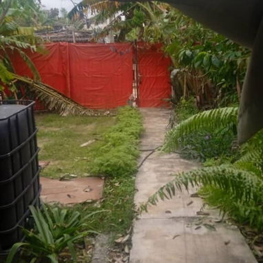 Casa - Img 121496292