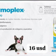 Vitaminas Lassy/ Vitaminas Dermoplex. Suplementos para el pelo y piel de perros y gatos - Img 45137874