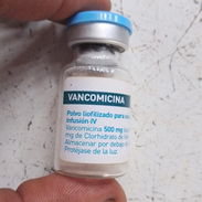 Vancomicina - Img 55805810