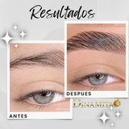 ✨CEJAS PERFECTAS TODO EL DÍA✨ - Img 57883842