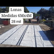 Lonas - Img 55254874