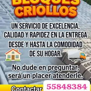 Bloques Criollos fotos reales. - Img 58245932