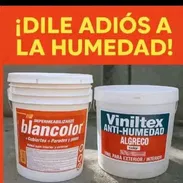 Impermeable transpirable 54703213 - Img 54195922