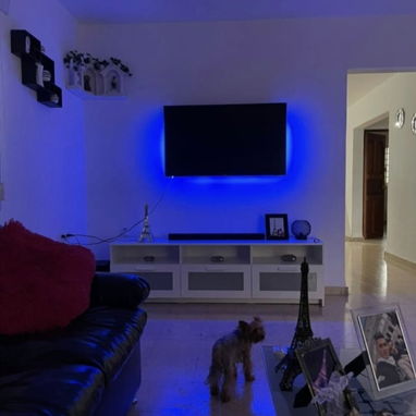 Renta lineal vibora Park - Img 124452668