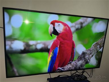Samsung Smart TV 50 pulgadas en perfecto estado - Img main-image-45728597