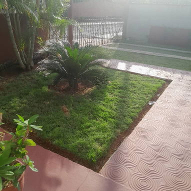 CASA GRANDE PLANTA BAJA - Img 123194747