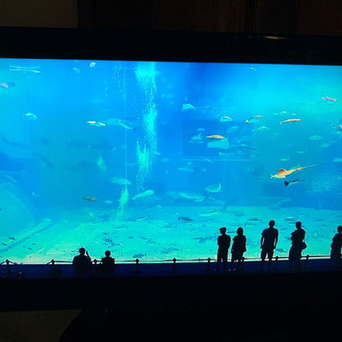 Televisores 32" pulgadas - 2/3