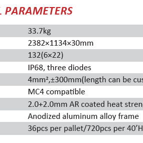 Paneles solares bifaciales marca HORAY de 630 W. - 2/4