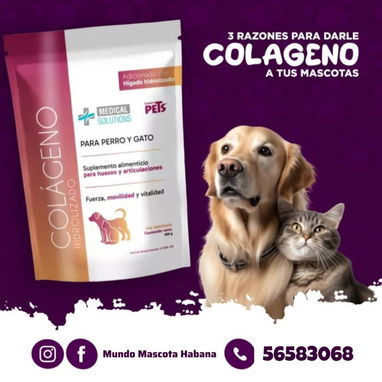 Colágeno para perros y gatos - Img 124847611
