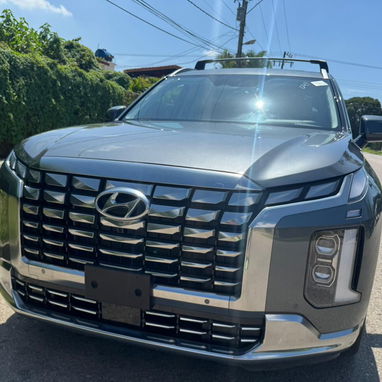 Hyundai Palisade 2024 calligraphi - Img 106076782