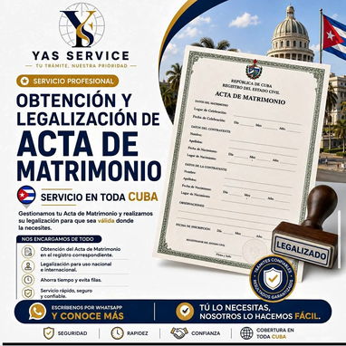 Viaja seguro y legalmente con #yas Servise - 4/10