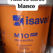 Pintura vinil isaval y euroquimica 15 litros antimoho ATM blanco coco importadas de España en nuestro almacén en playa - Img 55027227