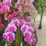 Plantas artificiales originales - Img 57954530