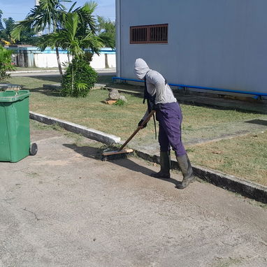 Servicios de Jardinería Profesional - 6/8