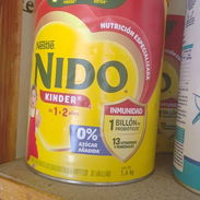 Leche Nido apartir de 1 año de 1.6 kg en 50 usd - Img 56527304