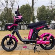 Moto Yoazaki 2024 - Img 45820697