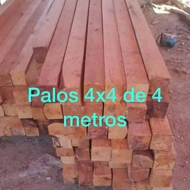Palos 4x4 - Img 123438342