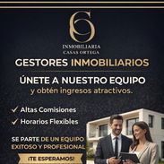 Buscamos gestores inmobiliarios - Img 55232114